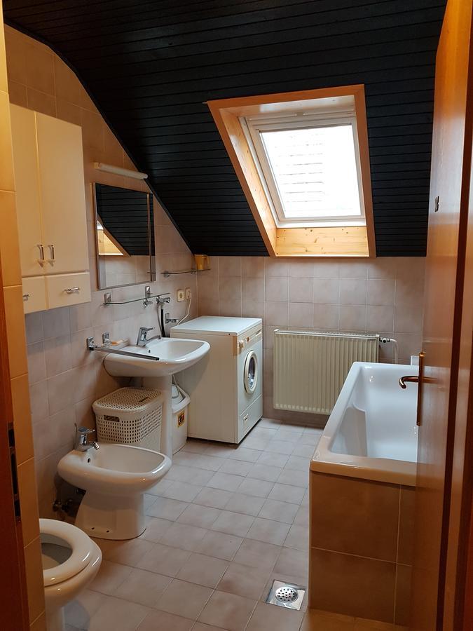 Apartment Manca Λιουμπλιάνα Εξωτερικό φωτογραφία